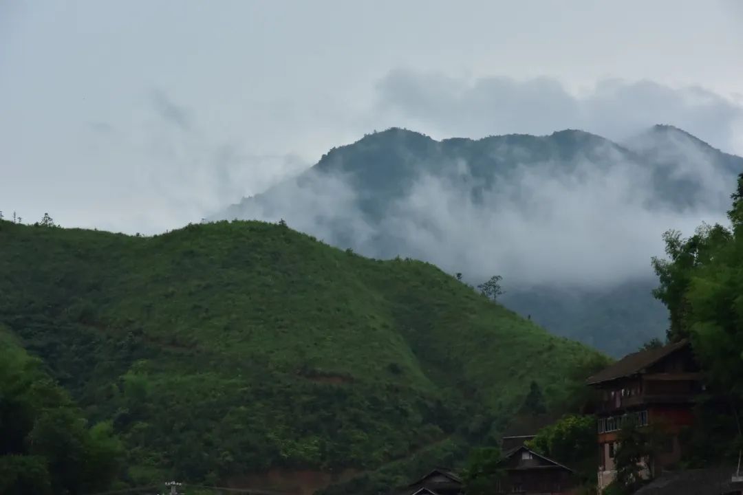 DƬ